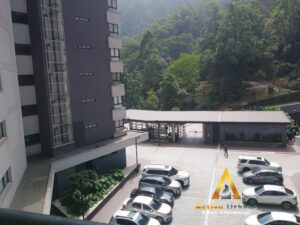 foto_104782_901271444_0393848838_ss