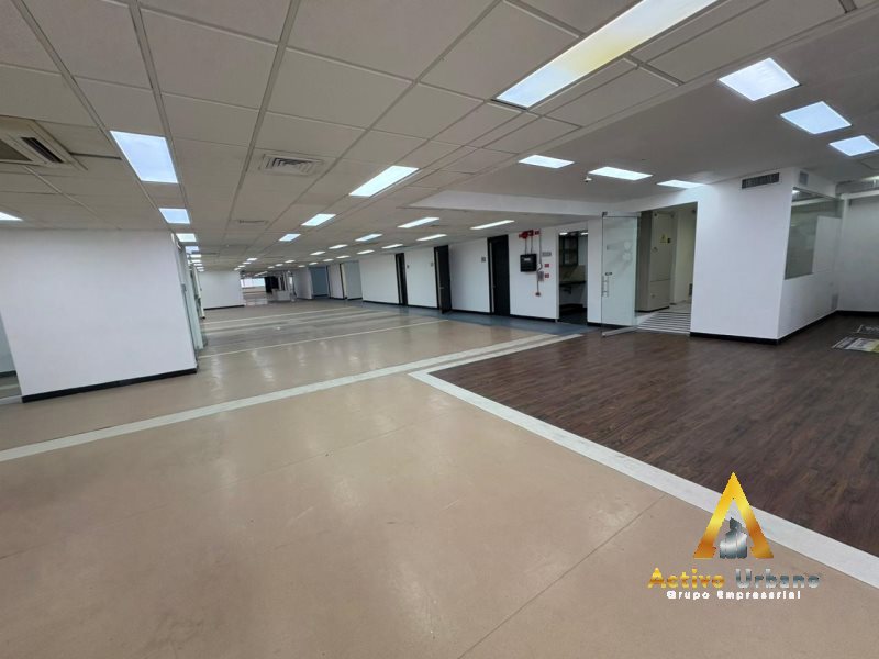 foto_104782_901271444_0742569509_ss