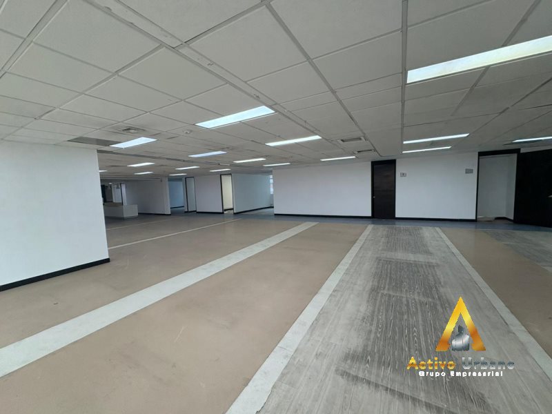 foto_104782_901271444_0743484598_ss