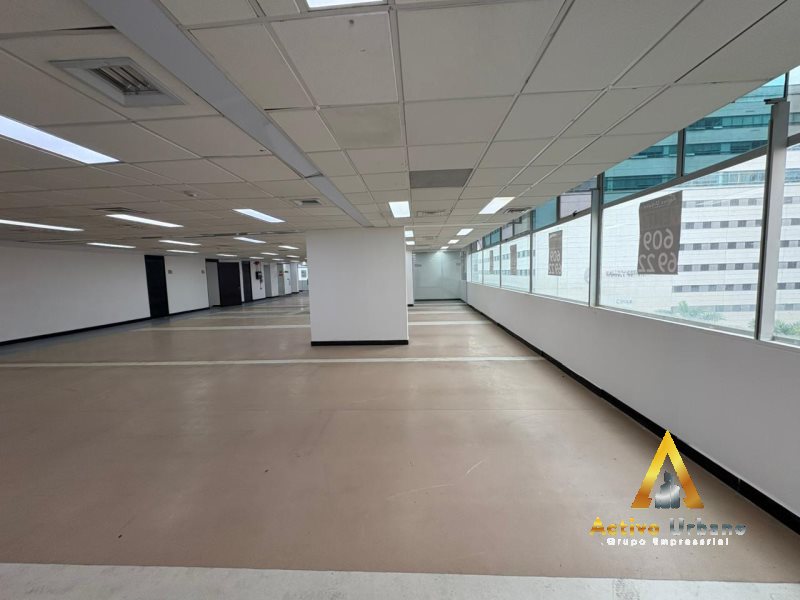 foto_104782_901271444_0774168265_ss