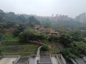 foto_104782_901271444_1221976551_ss