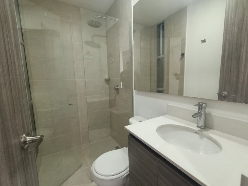 foto_104782_901271444_1233062964_ss