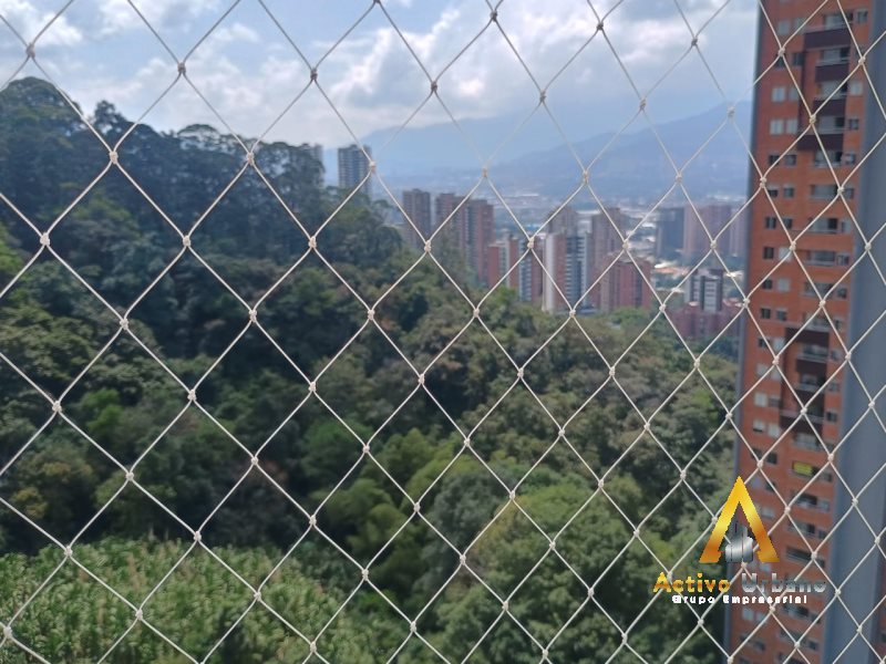 foto_104782_901271444_1392824971_ss