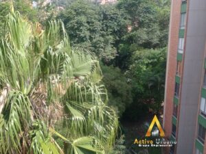 foto_104782_901271444_2024209639_ss