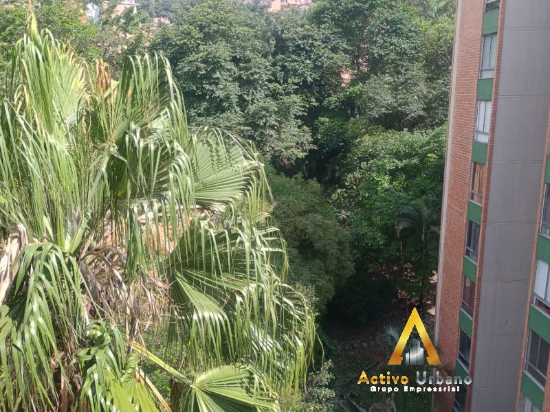 foto_104782_901271444_2024209639_ss