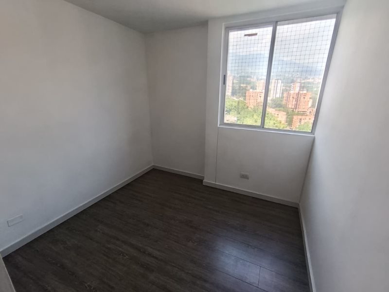 foto_104782_901271444_2154639823_ss