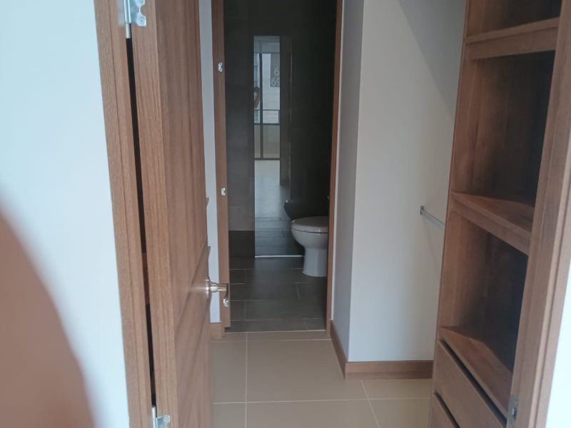 foto_104782_901271444_2439305816_ss