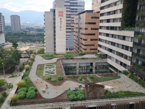 foto_104782_901271444_2450449116_ss