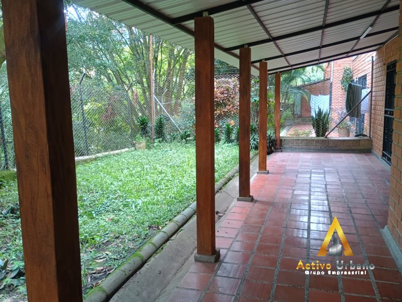 foto_104782_901271444_2629566162_ss