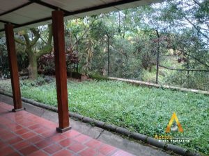 foto_104782_901271444_2629585012_ss