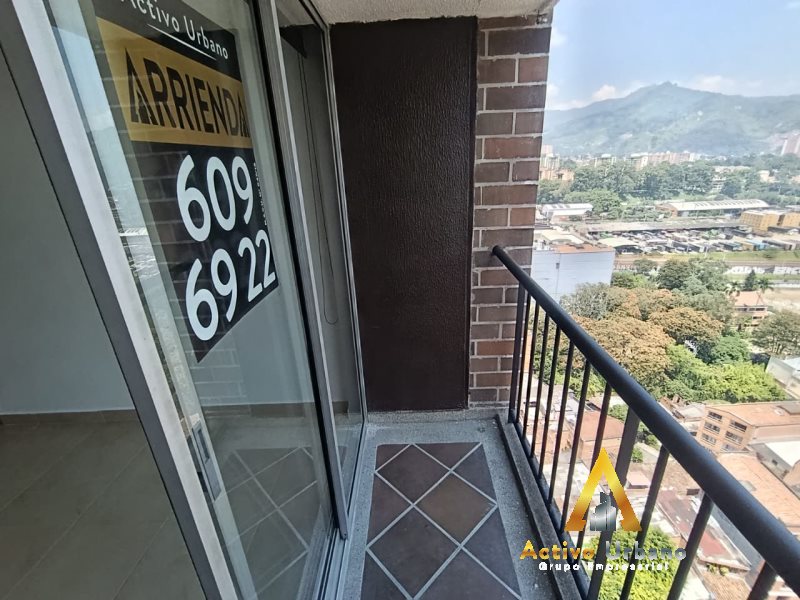 foto_104782_901271444_2643879513_ss