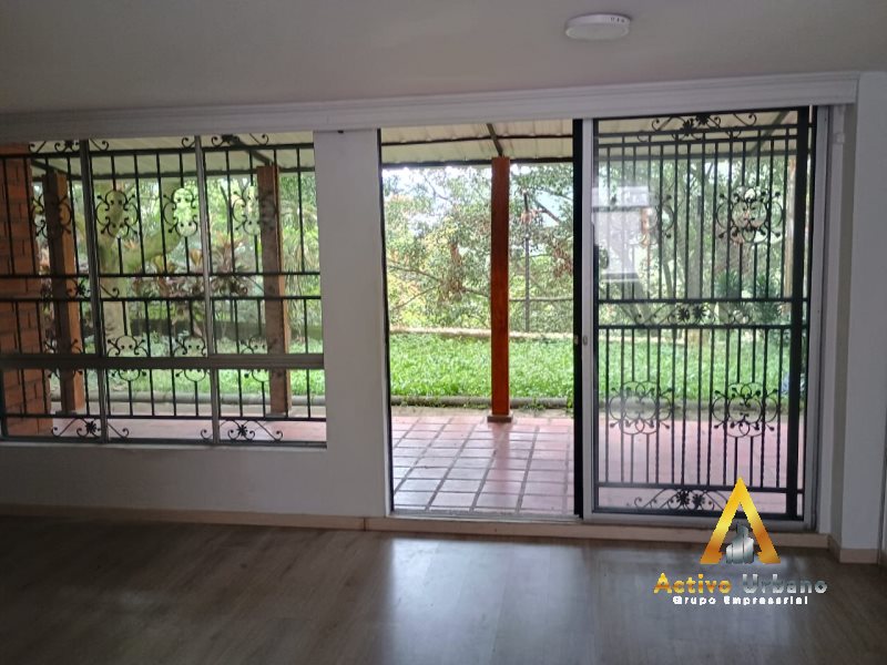 foto_104782_901271444_2668709256_ss