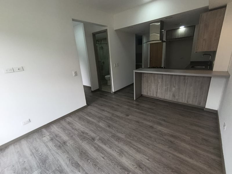 foto_104782_901271444_3369623561_ss