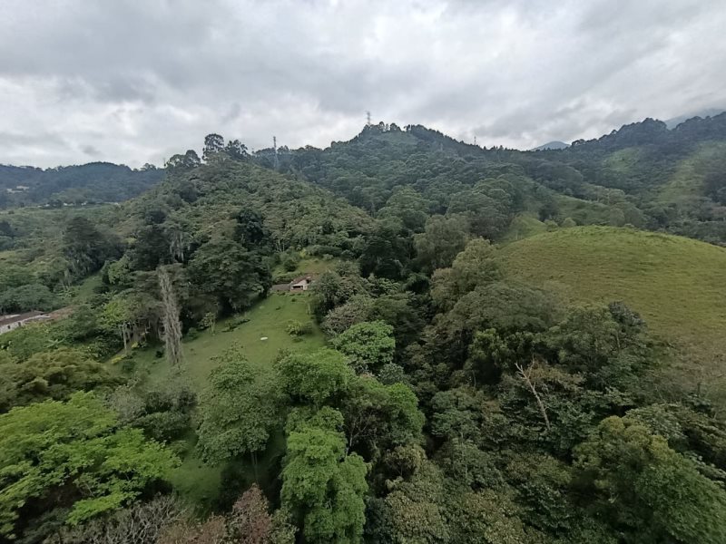 foto_104782_901271444_3405990527_ss