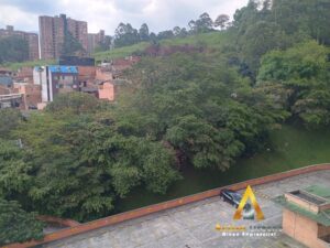 foto_104782_901271444_3408079571_ss