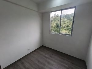 foto_104782_901271444_3416147999_ss