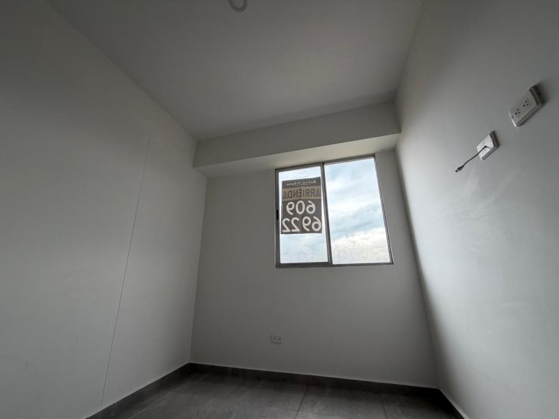 foto_104782_901271444_3858893072_ss