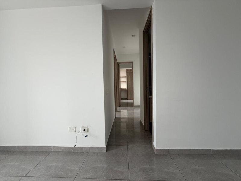 foto_104782_901271444_3879473288_ss