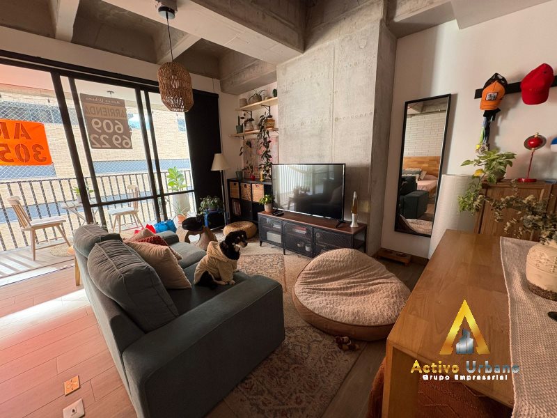 foto_104782_901271444_4114037852_ss