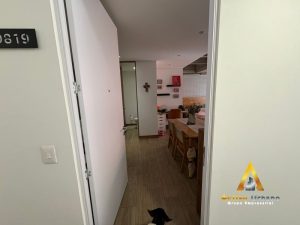 foto_104782_901271444_4130552731_ss