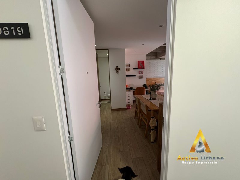 foto_104782_901271444_4130552731_ss