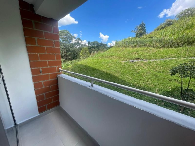 foto_104782_901271444_4376735422_ss