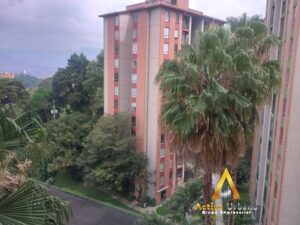 foto_104782_901271444_5145992207_ss