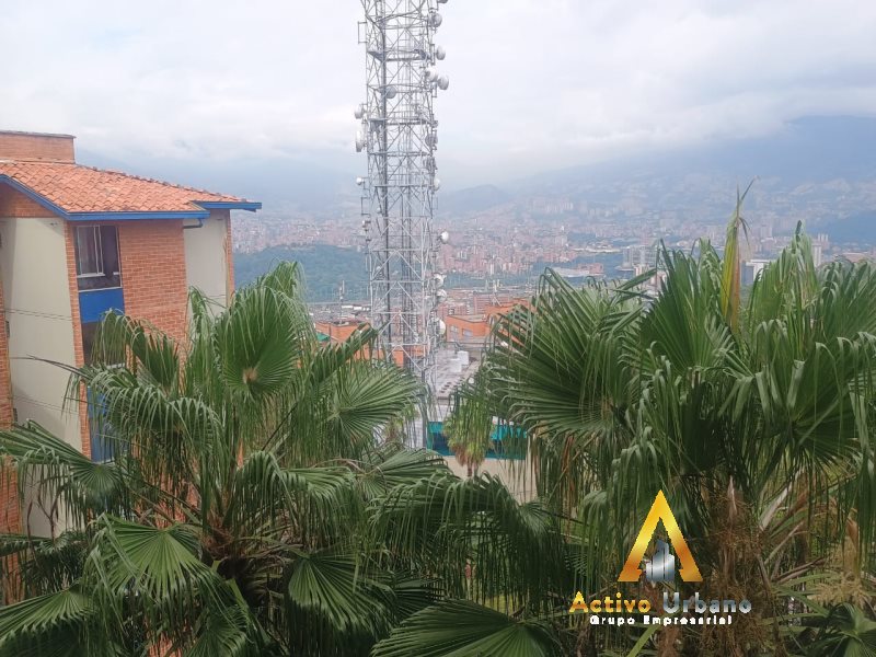 foto_104782_901271444_5146076844_ss