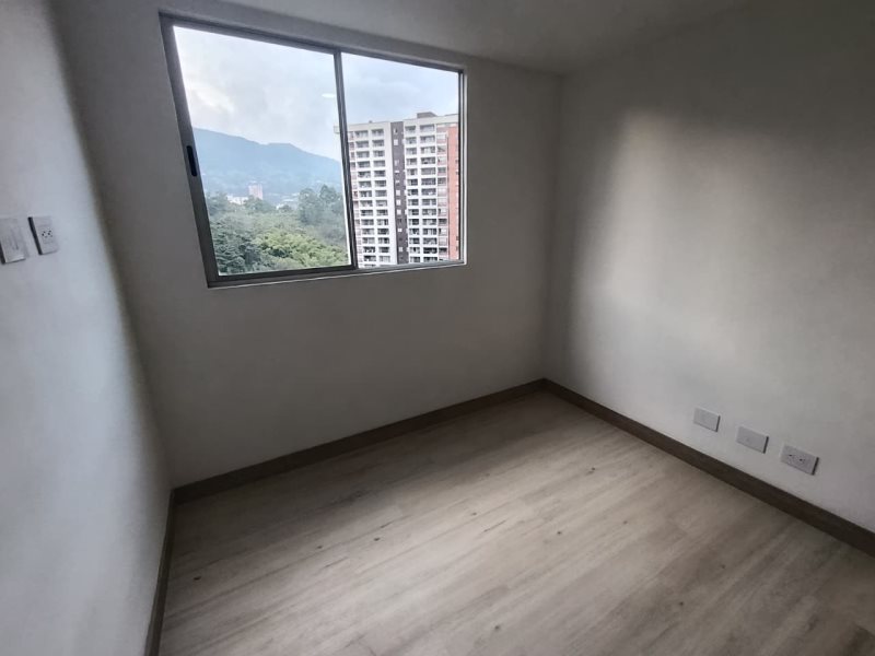 foto_104782_901271444_5308794070_ss