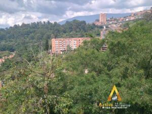 foto_104782_901271444_5393269940_ss