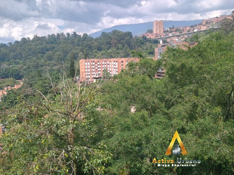 foto_104782_901271444_5393269940_ss