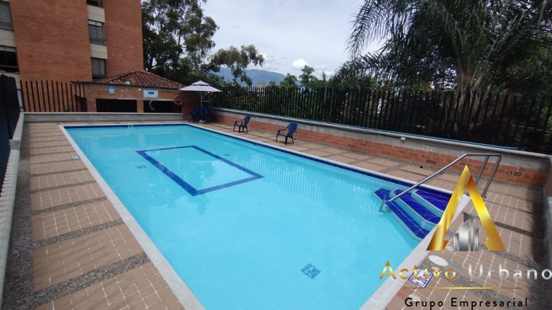 foto_104782_901271444_5473856968_ss