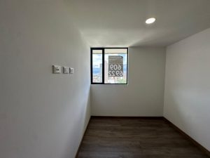 foto_104782_901271444_5801765238_ss