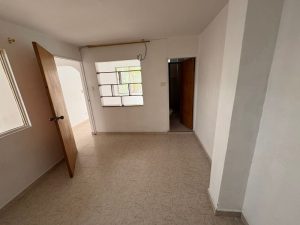 foto_104782_901271444_5876707455_ss