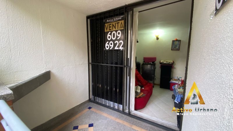 foto_104782_901271444_6023534768_ss