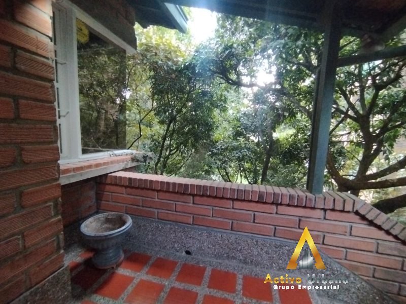 foto_104782_901271444_6025976933_ss