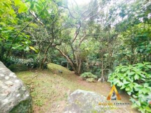 foto_104782_901271444_6025997746_ss