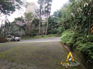 foto_104782_901271444_6026042798_ss