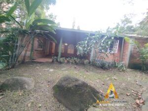 foto_104782_901271444_6069077881_ss