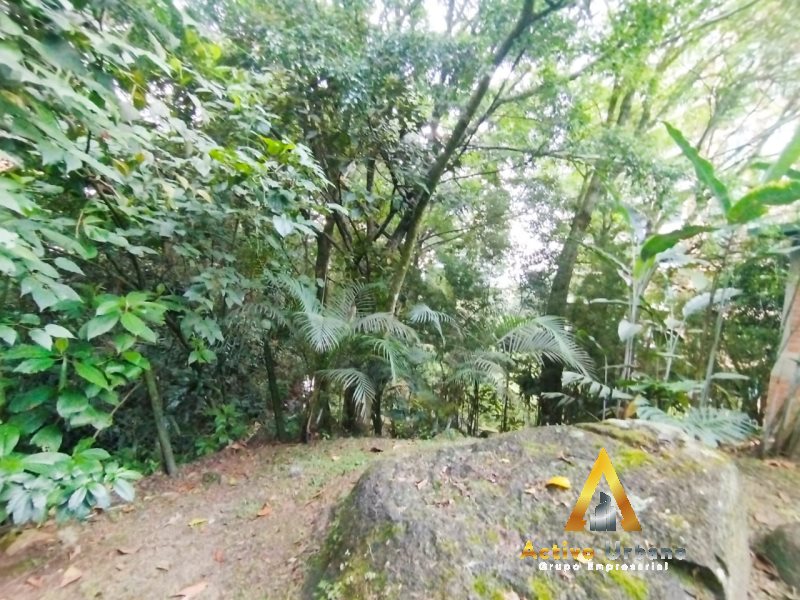 foto_104782_901271444_6070081770_ss