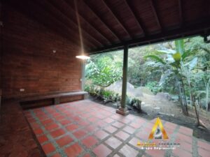 foto_104782_901271444_6070265493_ss