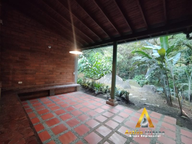 foto_104782_901271444_6070265493_ss