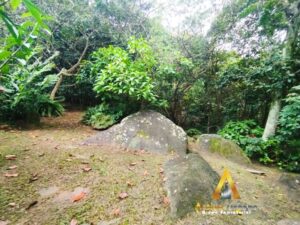 foto_104782_901271444_6073873633_ss