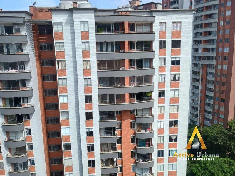 foto_104782_901271444_6107326030_ss