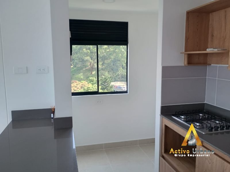 foto_104782_901271444_6150393116_ss