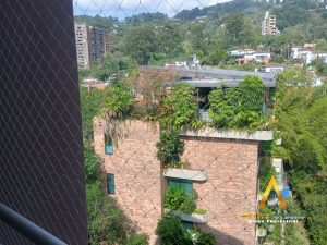 foto_104782_901271444_6258136861_ss