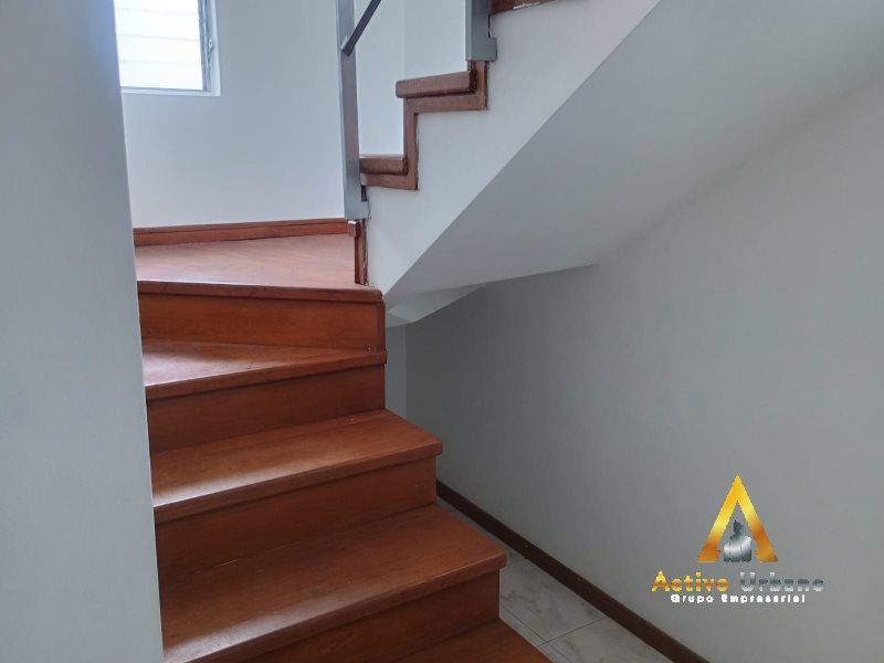 foto_104782_901271444_6300073018_ss