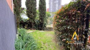 foto_104782_901271444_6917251796_ss