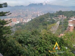 foto_104782_901271444_7313208869_ss