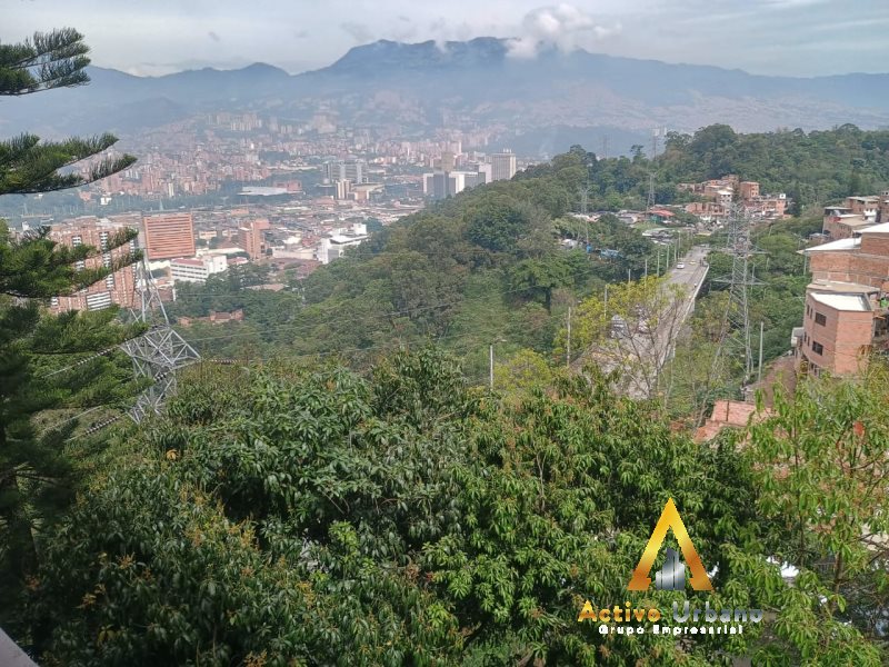 foto_104782_901271444_7313208869_ss